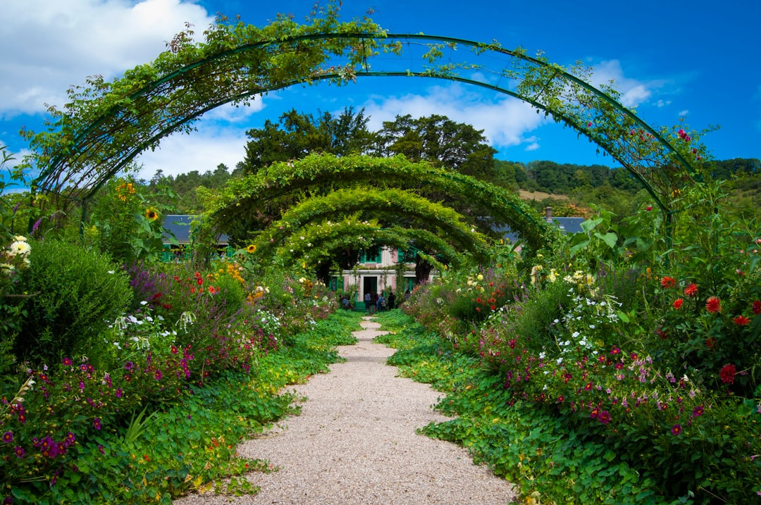Dein Garten für Arten!